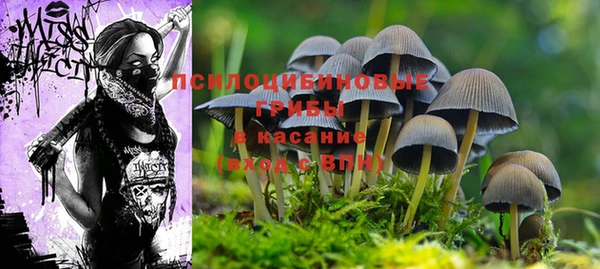 соль ск Алексеевка