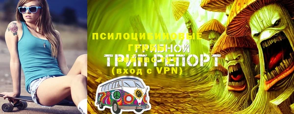соль курить ск Алзамай