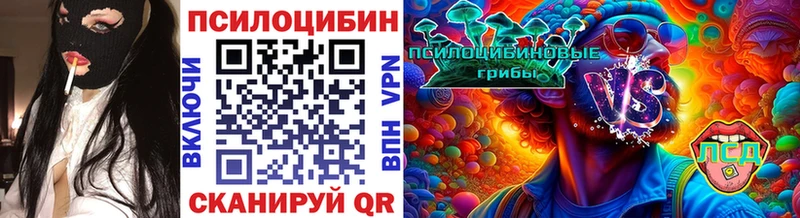 Галлюциногенные грибы мицелий  Стародуб 